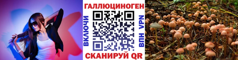 наркота  Тюмень  Псилоцибиновые грибы Magic Shrooms 